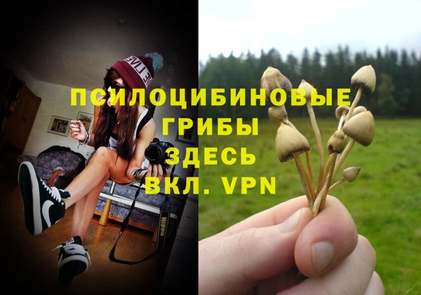 ГАЛЛЮЦИНОГЕННЫЕ ГРИБЫ Нязепетровск