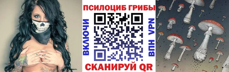 Галлюциногенные грибы Psilocybe  Россошь 