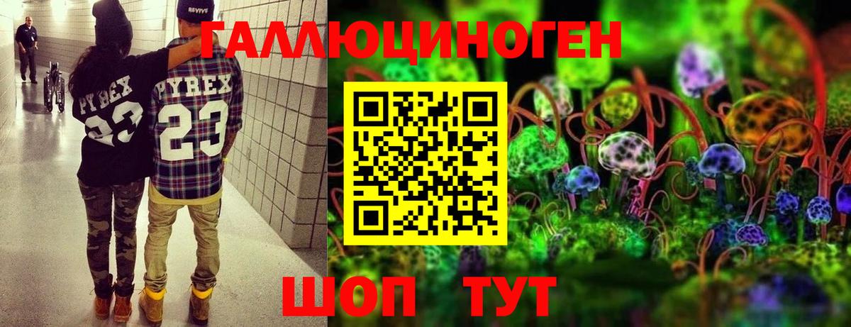 Галлюциногенные грибы Psilocybine cubensis  закладка  Россошь 